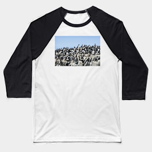 Guillemots on the Farne Islands - Northumberland, UK Baseball T-Shirt